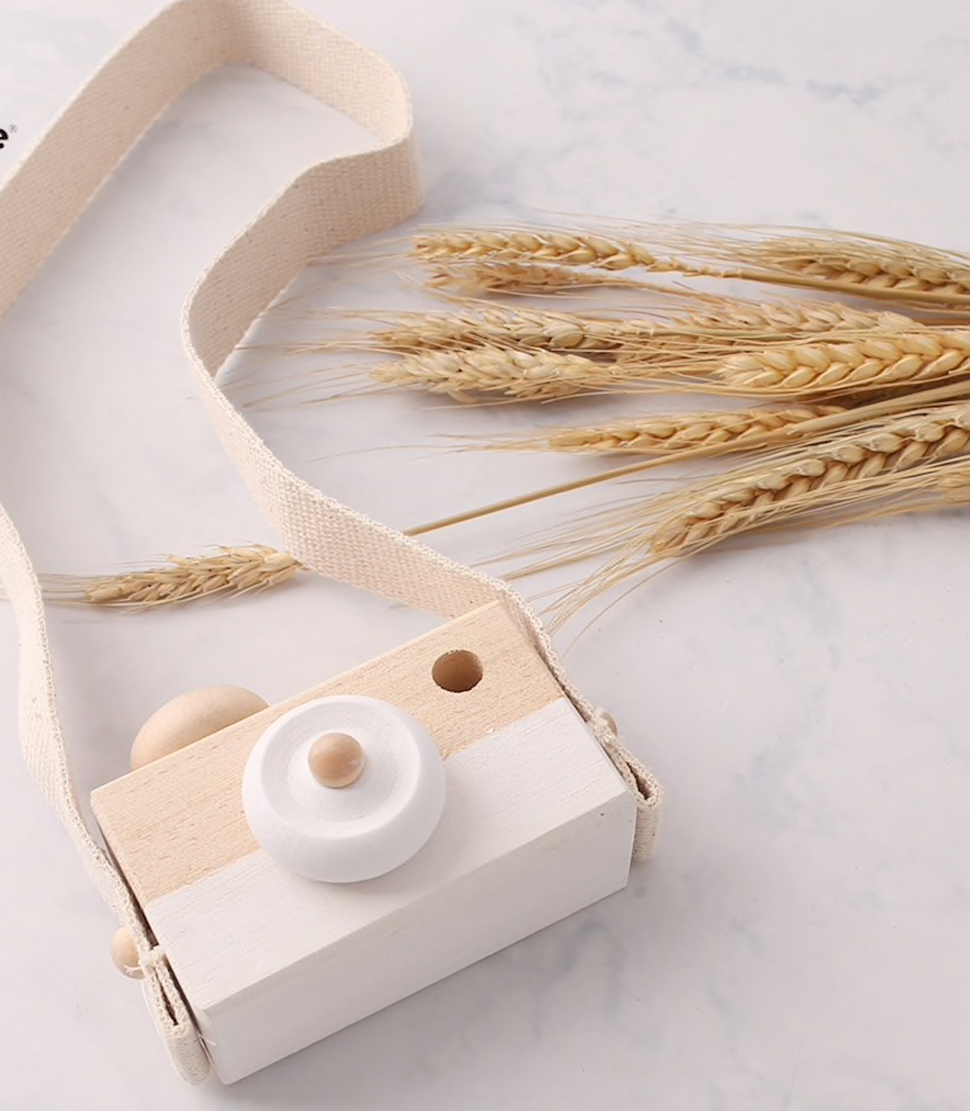 Nordic Wooden Camera